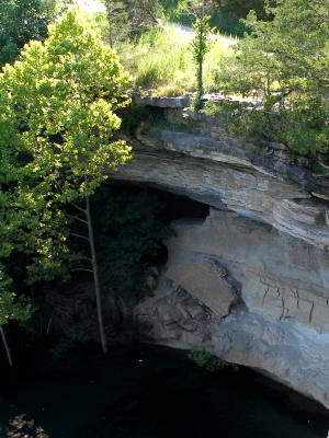 Hogscald Falls