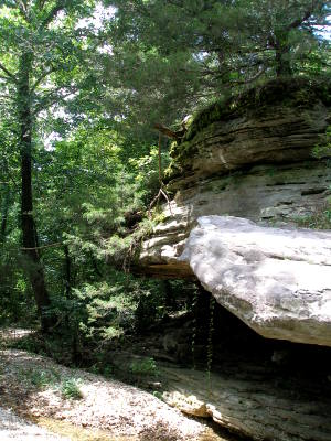 Bluffs at Hogscald
