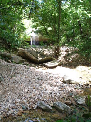 Hogscald Hollow Waterfalls