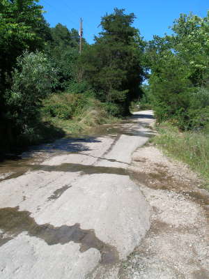 Hogscald Road
